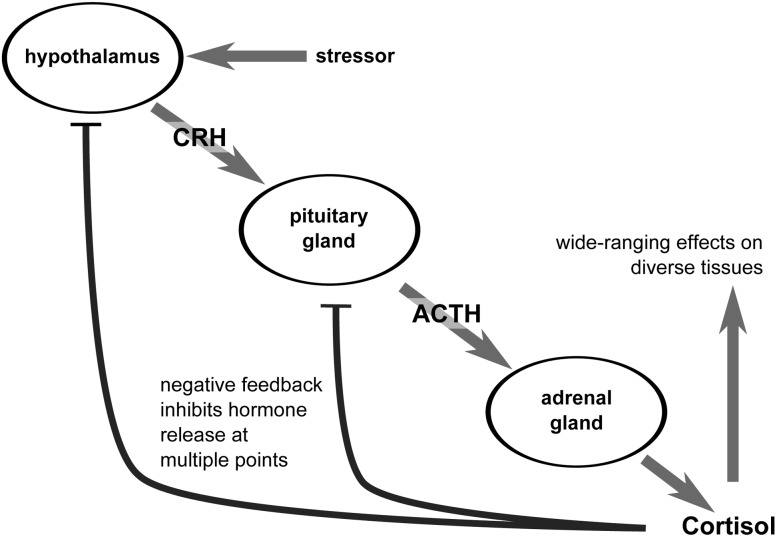 Figure 1: