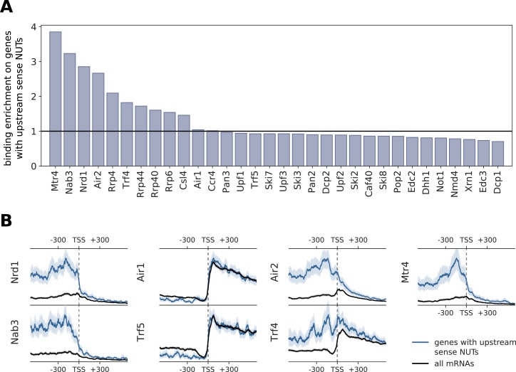 Figure 3—figure supplement 2.