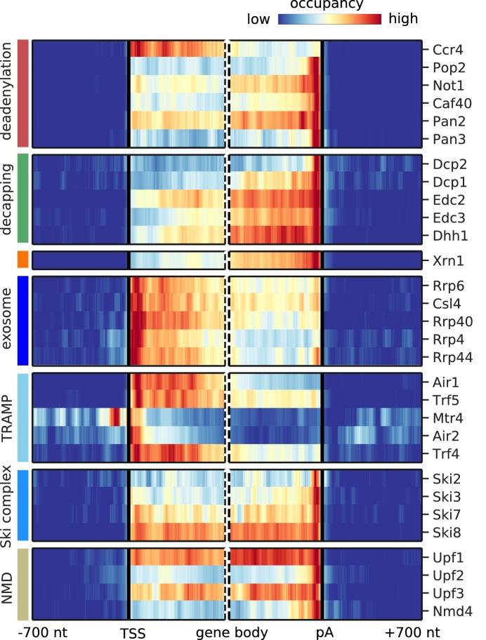 Figure 3—figure supplement 3.