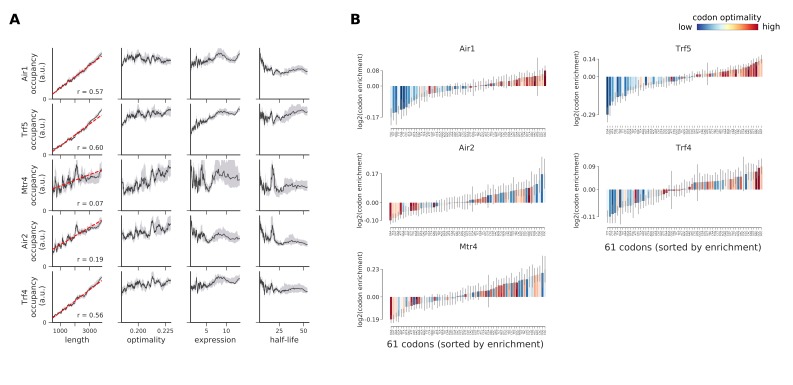 Figure 6—figure supplement 5.