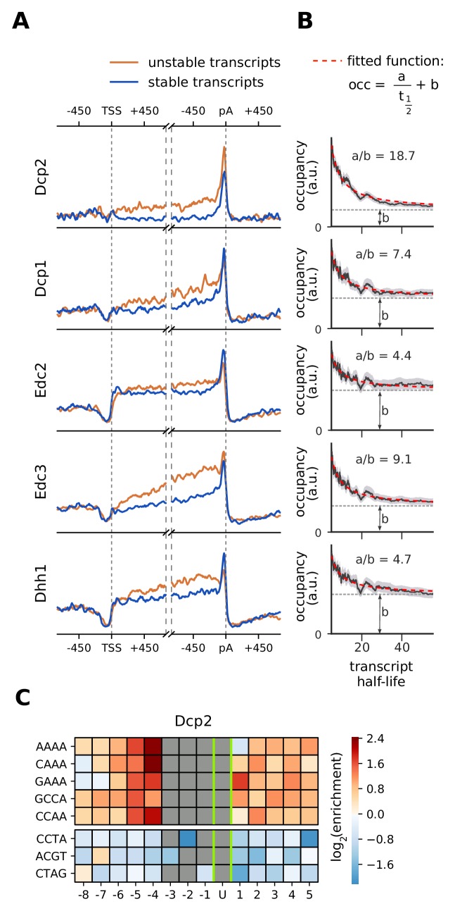 Figure 7.