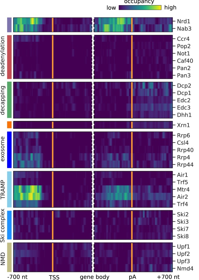 Figure 4—figure supplement 2.