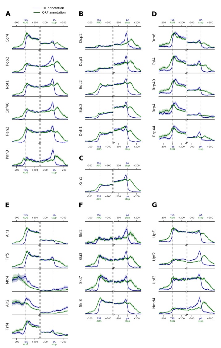 Figure 3—figure supplement 1.