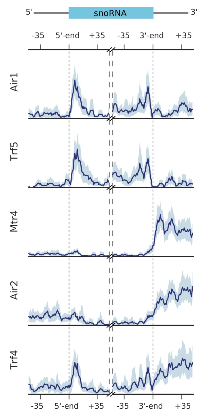 Figure 2—figure supplement 1.