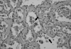 Figure 3)