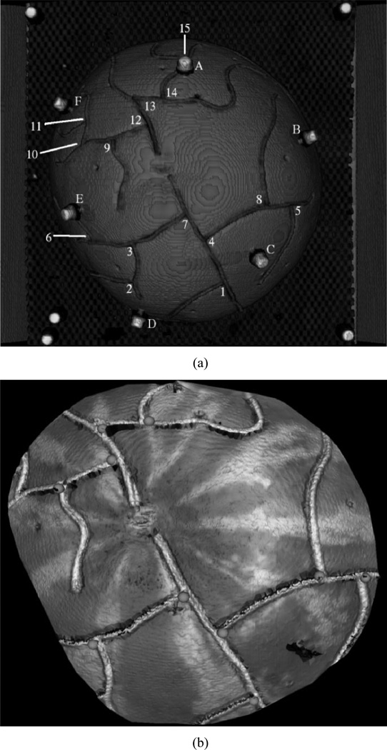 Fig. 5