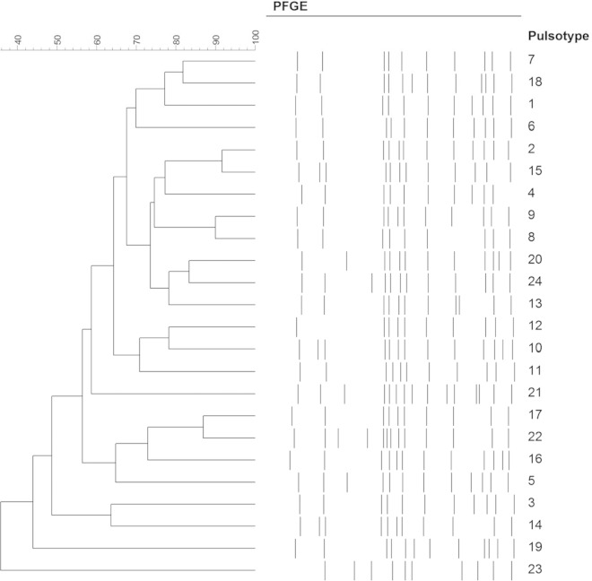 FIG 4