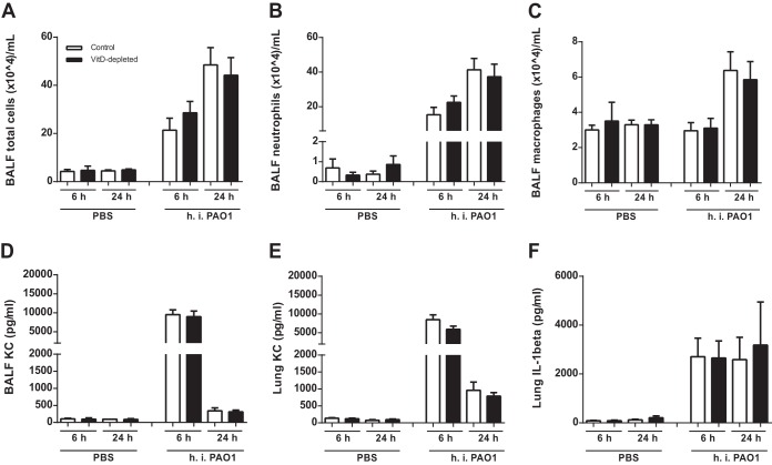 FIG 2