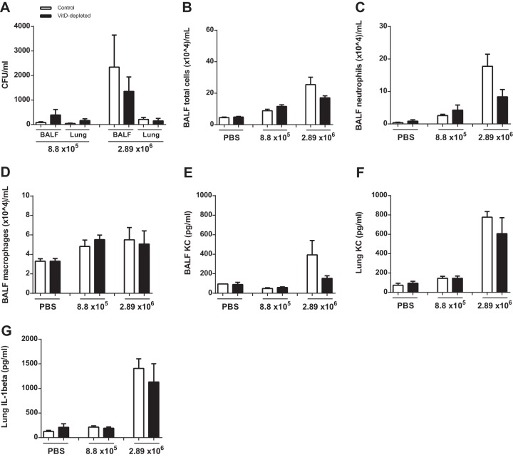 FIG 6