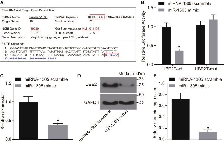 Figure 4