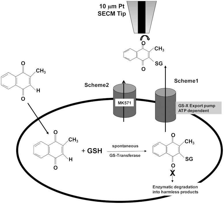 Fig. 1.