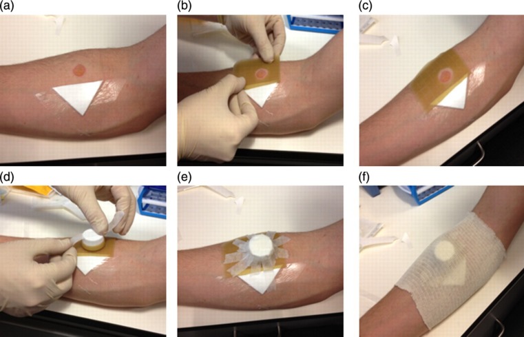 Figure 3