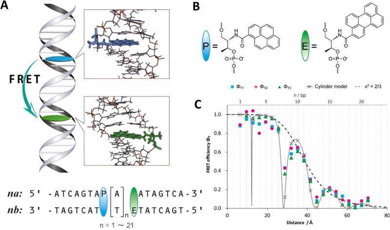 Fig. 26