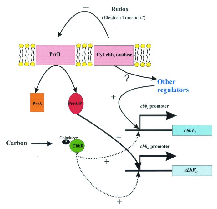 FIG. 7.