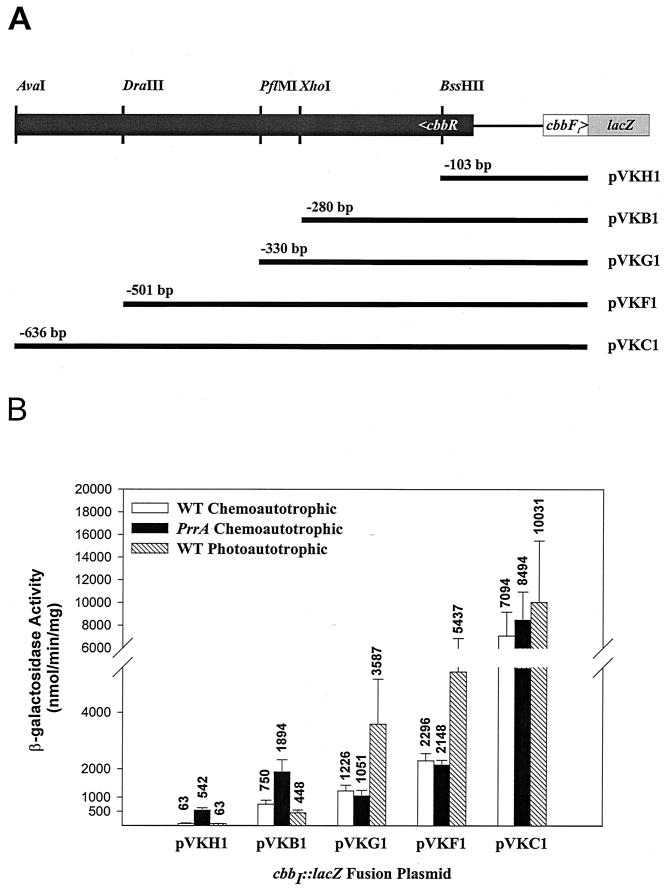 FIG. 6.