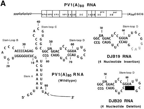 graphic file with name cde127f1a.jpg