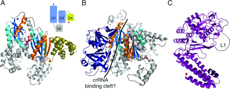 Figure 7