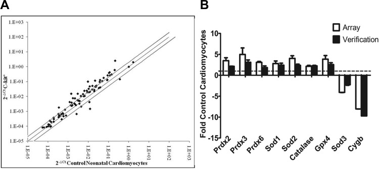 Fig. 10.