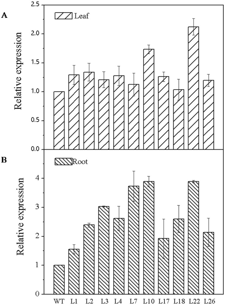 Fig 3