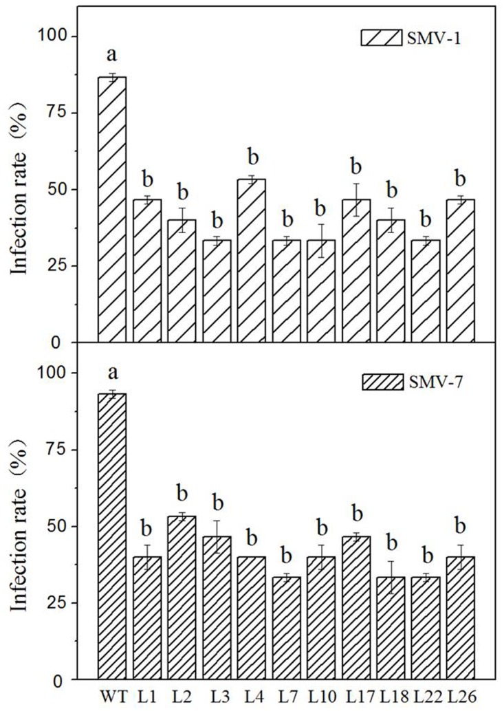 Fig 6