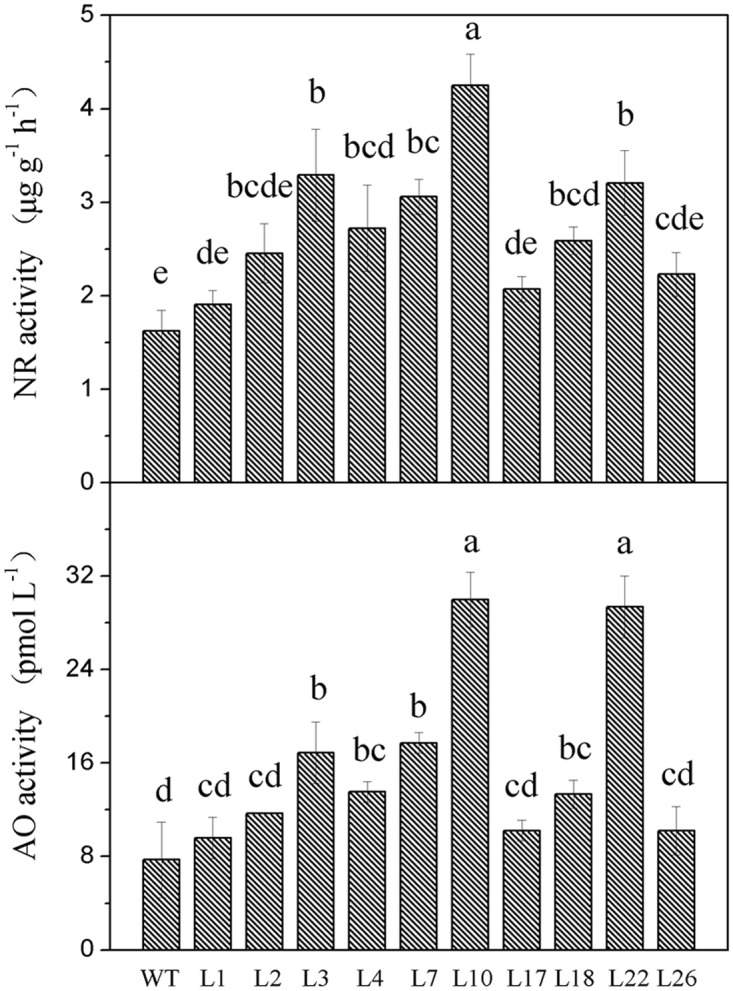 Fig 4