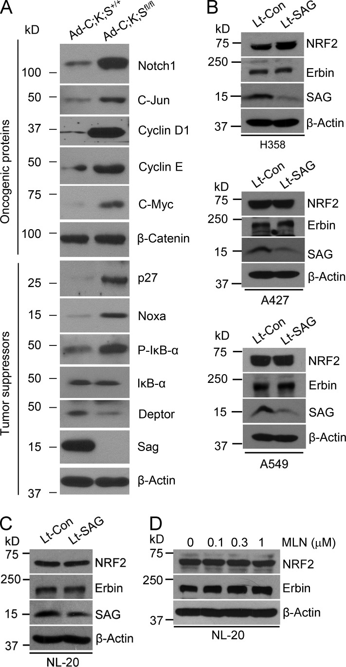 Figure 9.