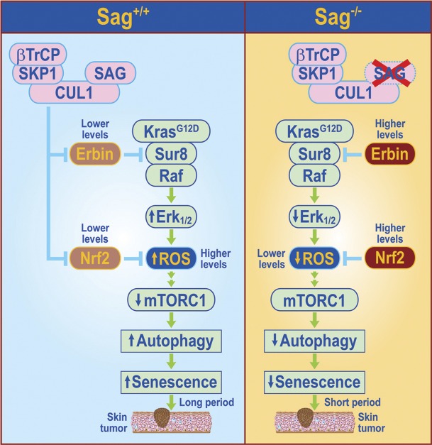 Figure 10.