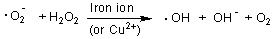 graphic file with name molecules-17-13457-i004.jpg