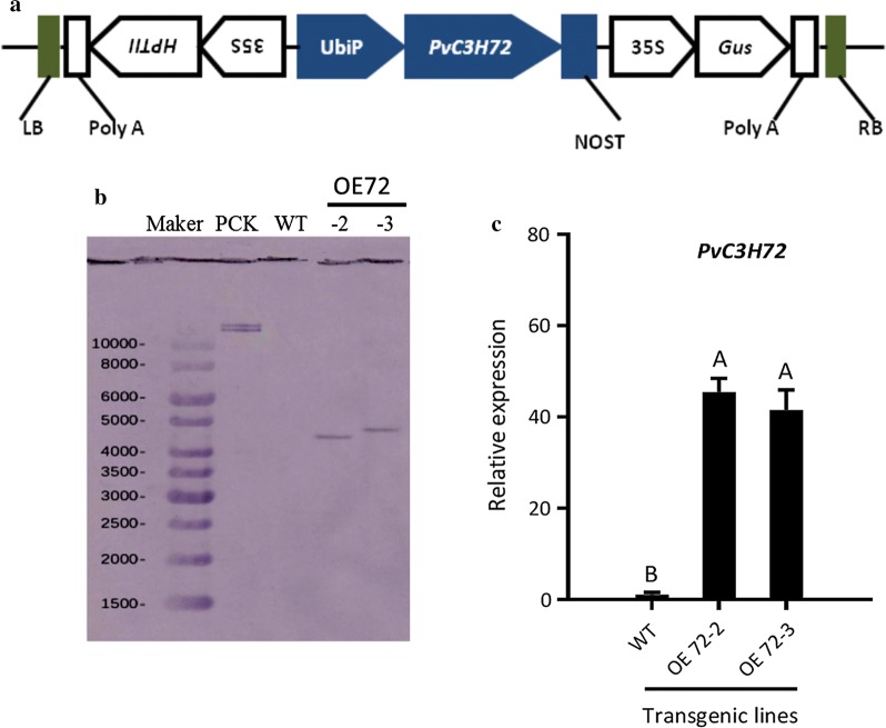 Fig. 4