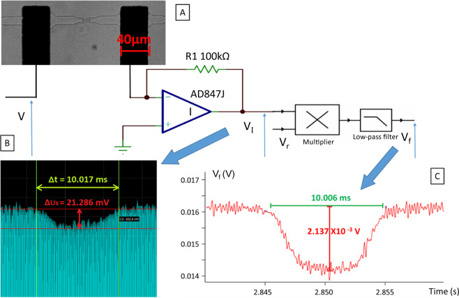 Figure 6