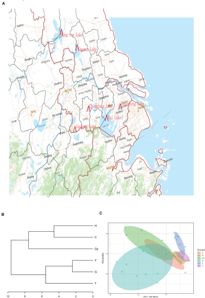 FIGURE 1