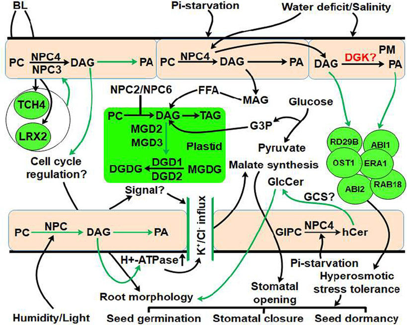 Fig. 3.