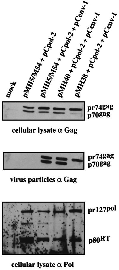 FIG. 5