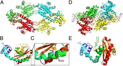 Fig. 1.