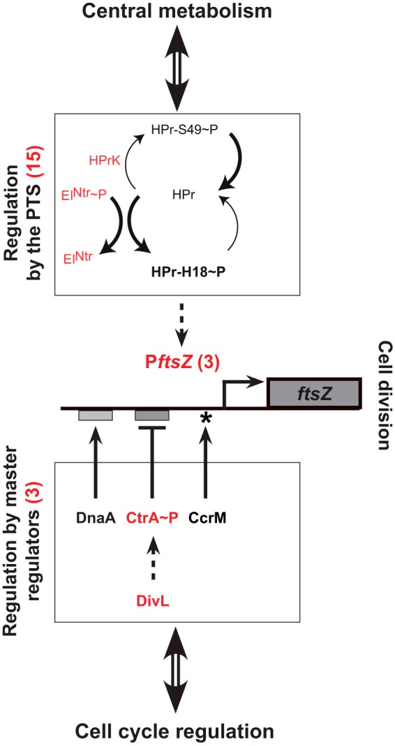 FIG 7 