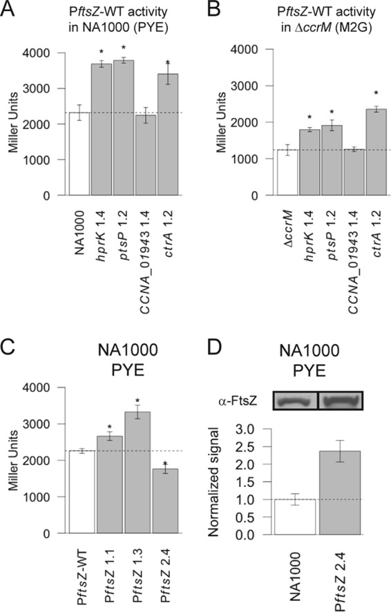 FIG 6 