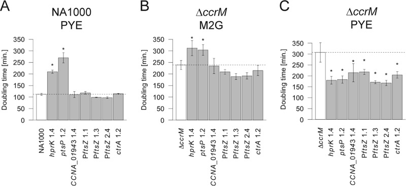 FIG 4 