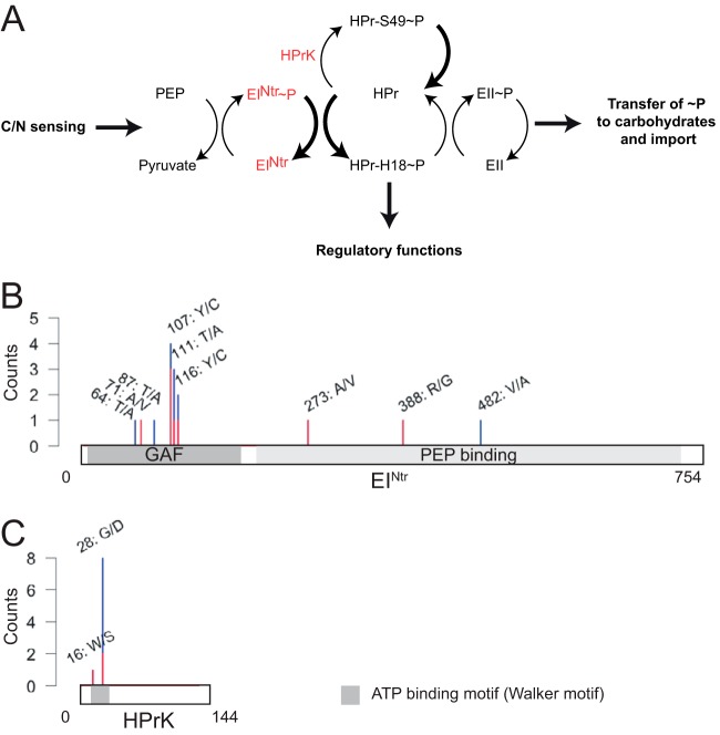 FIG 3 