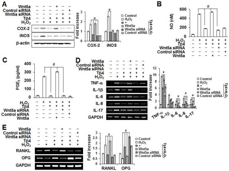 Fig 10