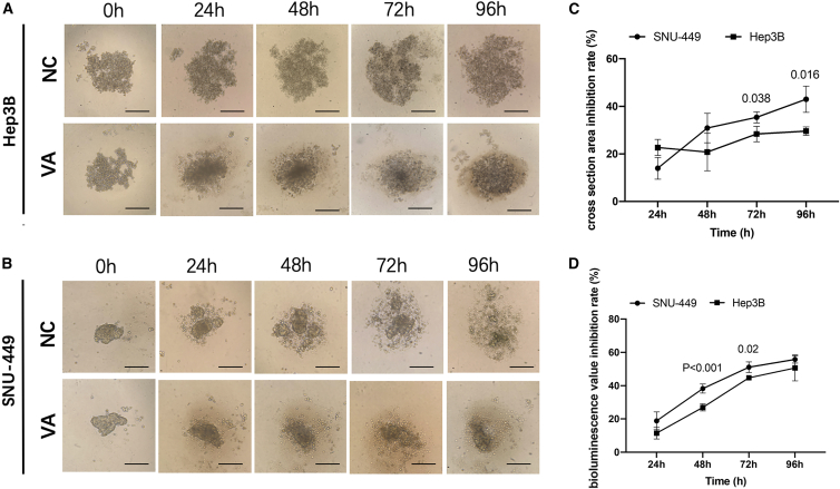 Figure 3