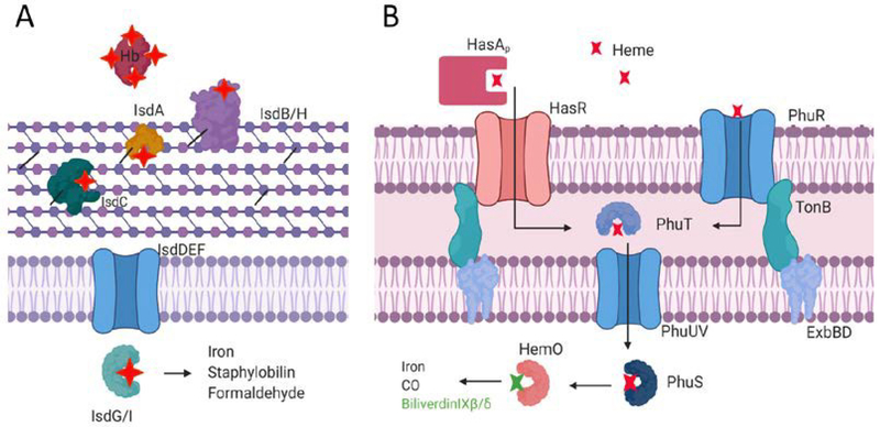 Figure 5.