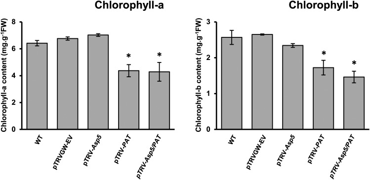 Figure 5.