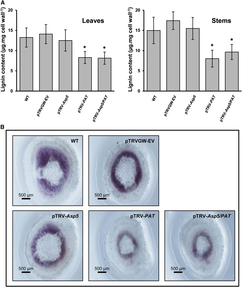 Figure 4.