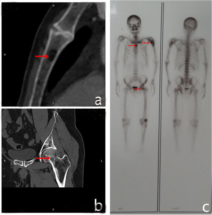 Fig. 5