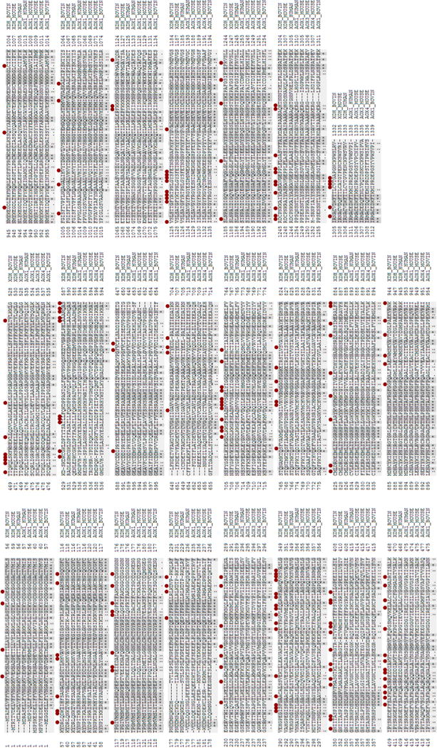 Figure 29