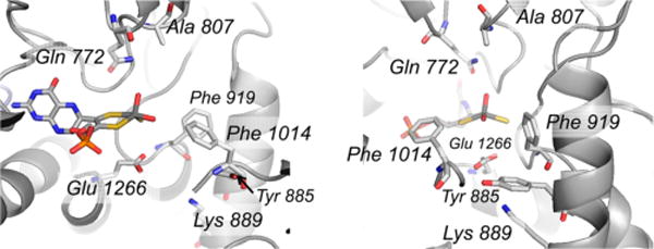 Figure 30