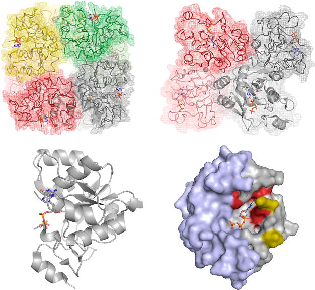 Figure 15