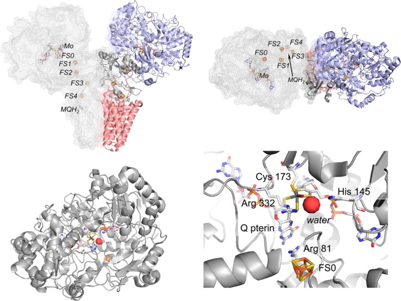 Figure 45