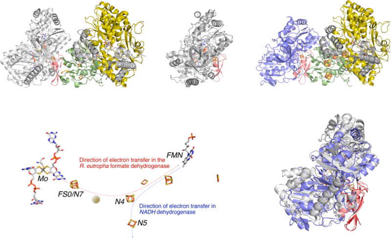 Figure 49