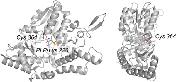 Figure 17